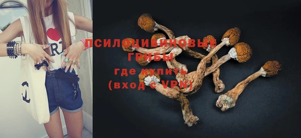 ГАЛЛЮЦИНОГЕННЫЕ ГРИБЫ Нефтекумск