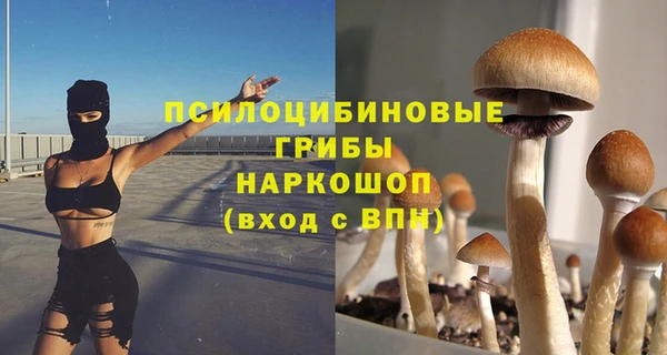 ГАЛЛЮЦИНОГЕННЫЕ ГРИБЫ Нефтекумск