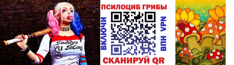 kraken   Пласт  Галлюциногенные грибы Psilocybine cubensis 