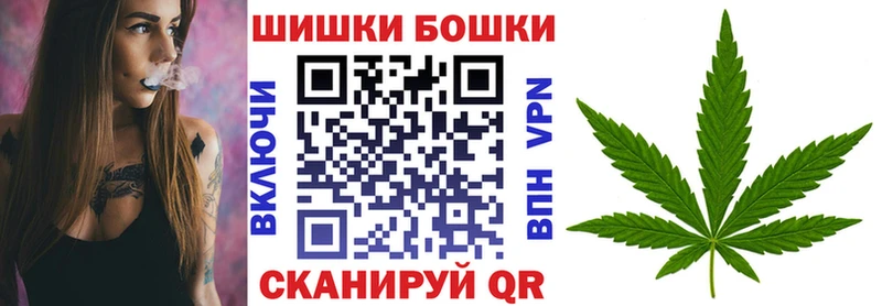 Бошки Шишки гибрид  Пласт 
